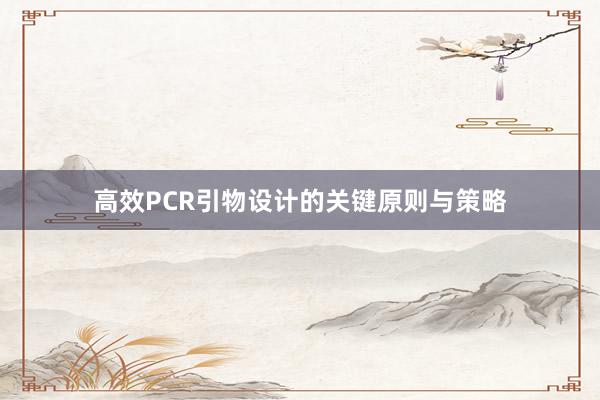 高效PCR引物设计的关键原则与策略